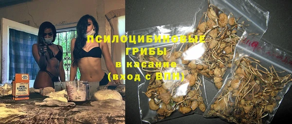 соль ск Новокубанск