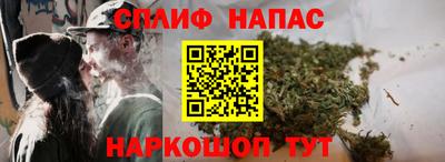 прущие грибы Наро-Фоминск