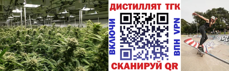 Дистиллят ТГК гашишное масло  Купить где  Тобольск 