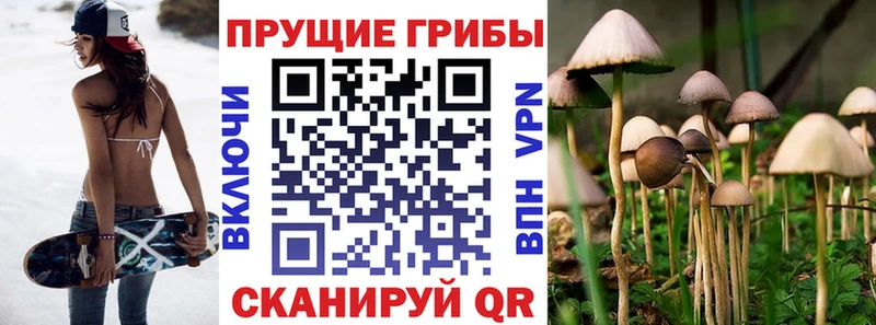 Купить где  Тобольск  Псилоцибиновые грибы Psilocybe 
