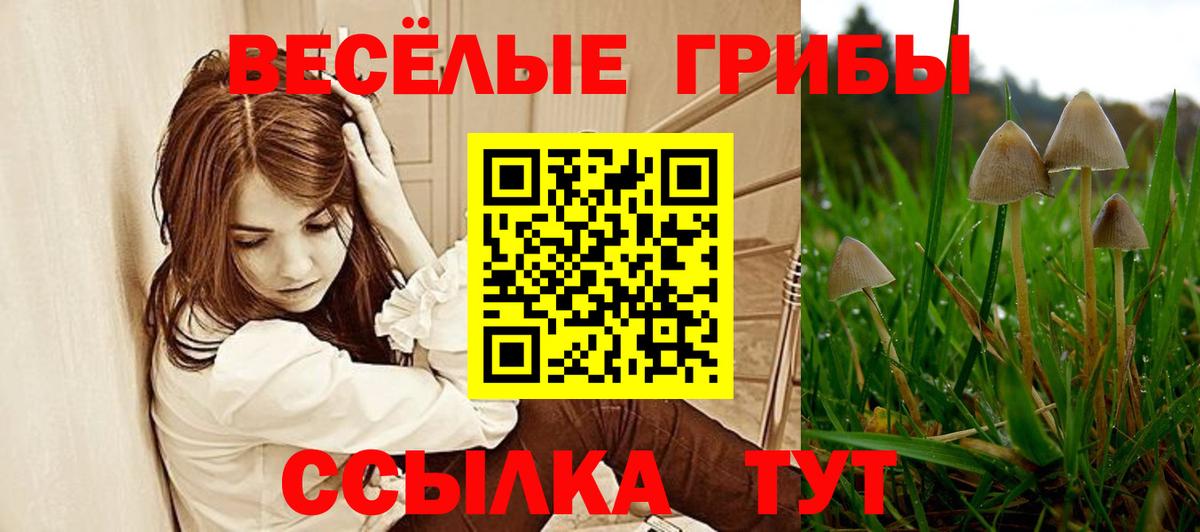 Галлюциногенные грибы прущие грибы  Вход с VPN  Тобольск 