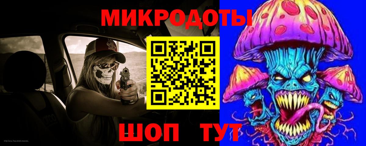 Псилоцибиновые грибы Psilocybe Тобольск