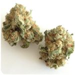 Шишки "White Widow"  (Белая вдова)  Гидропоника -  Бошка VHQ в Тобольске